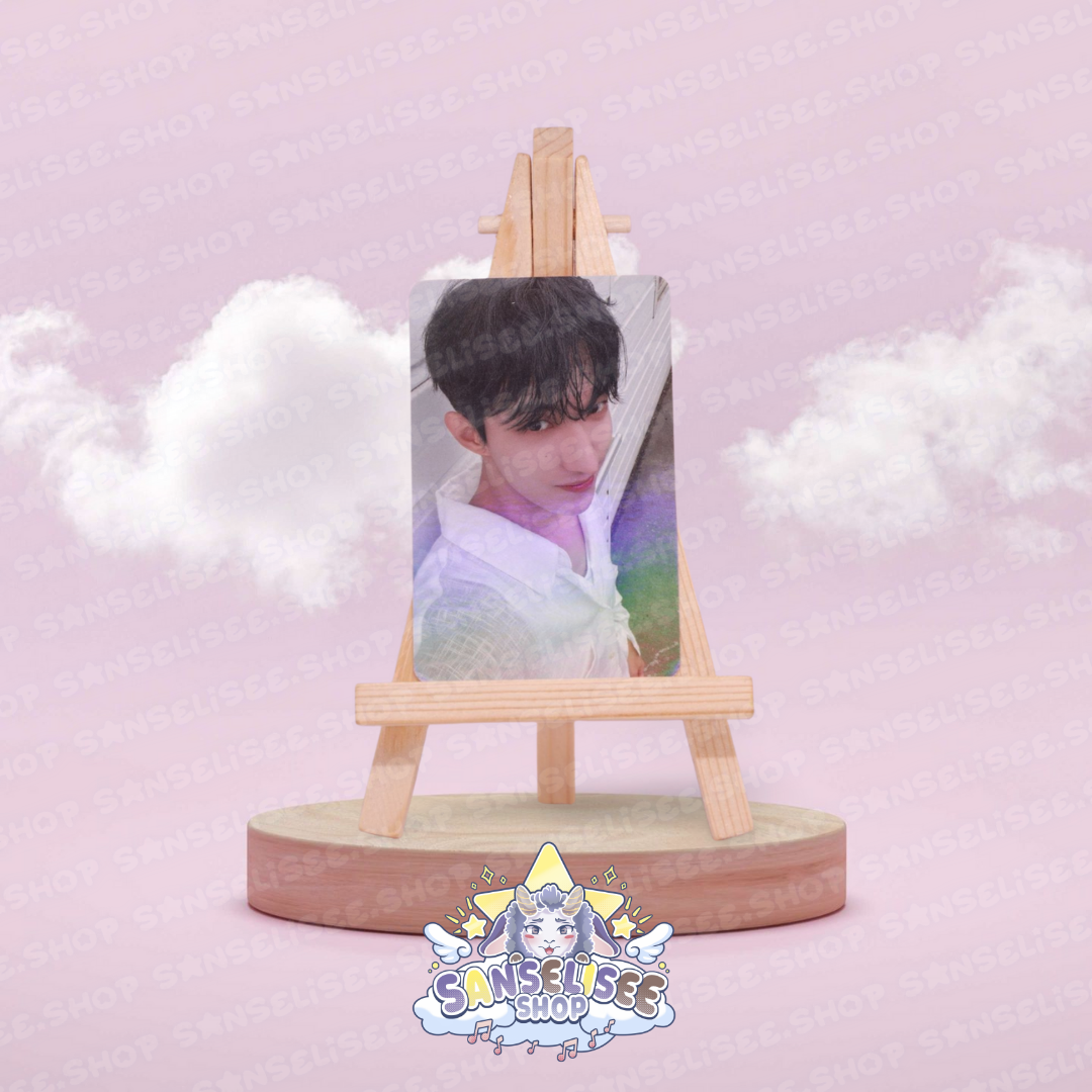 SEVENTEEN DK PHOTOCARDS  #02