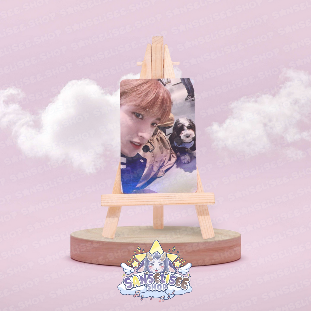 SEVENTEEN DK PHOTOCARDS  #02