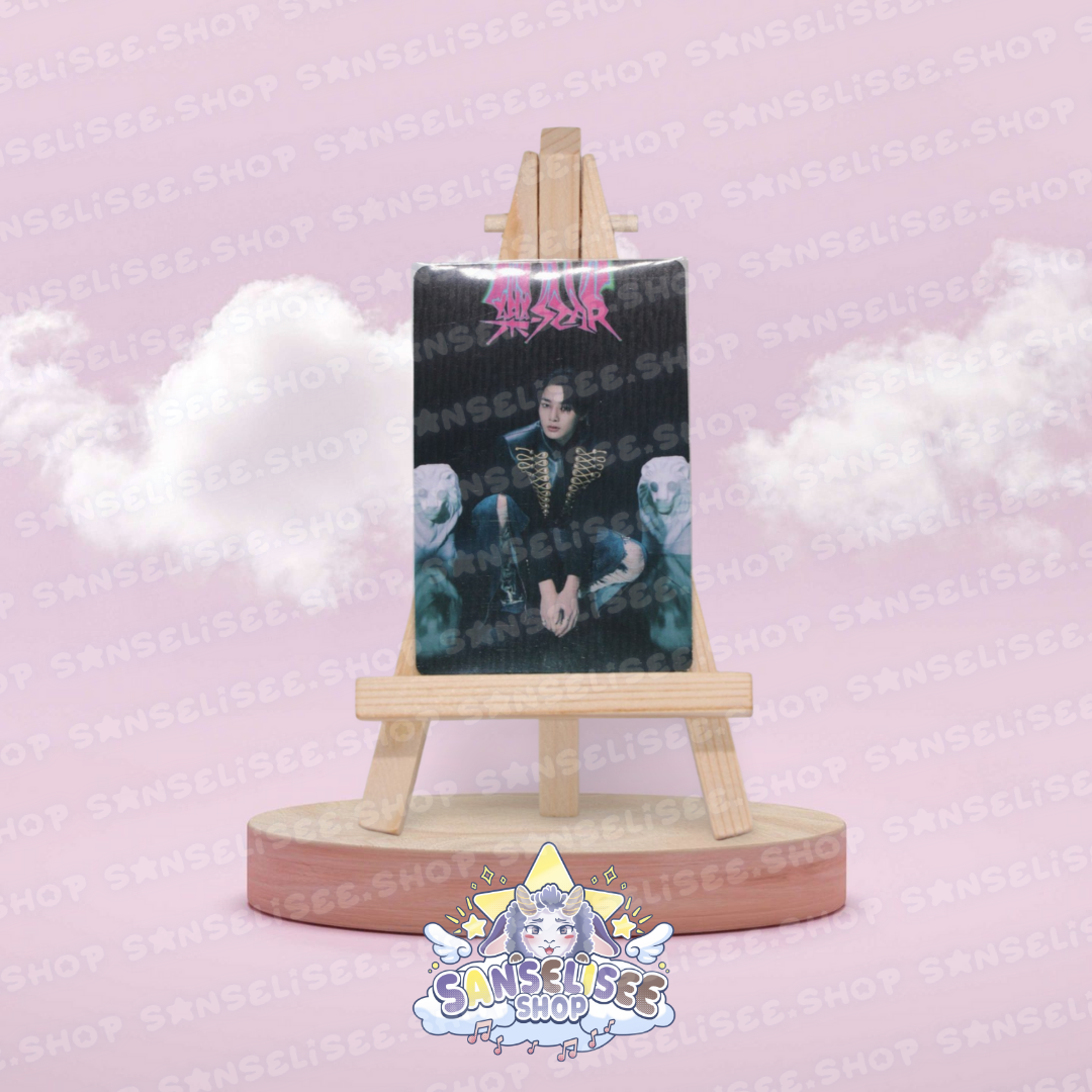 STRAY KIDS PHOTOCARDS  #01