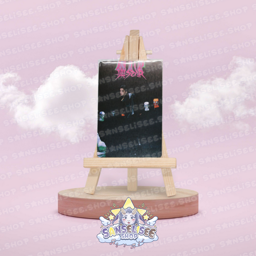 STRAY KIDS PHOTOCARDS  #01