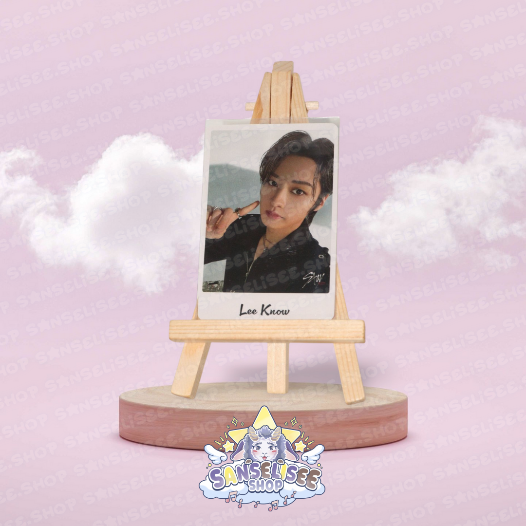 STRAY KIDS PHOTOCARDS  #09