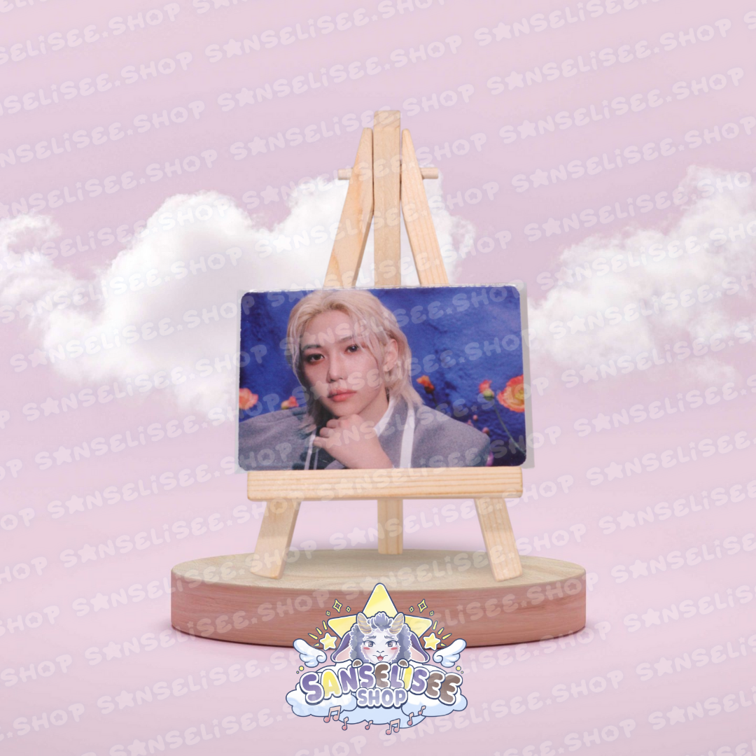 STRAY KIDS PHOTOCARDS  #14