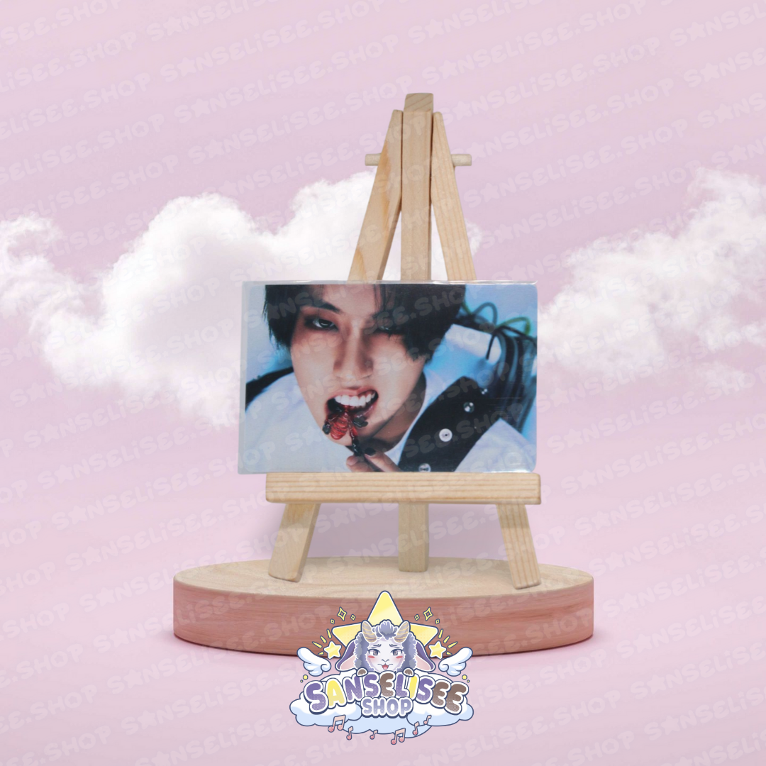 STRAY KIDS PHOTOCARDS  #30