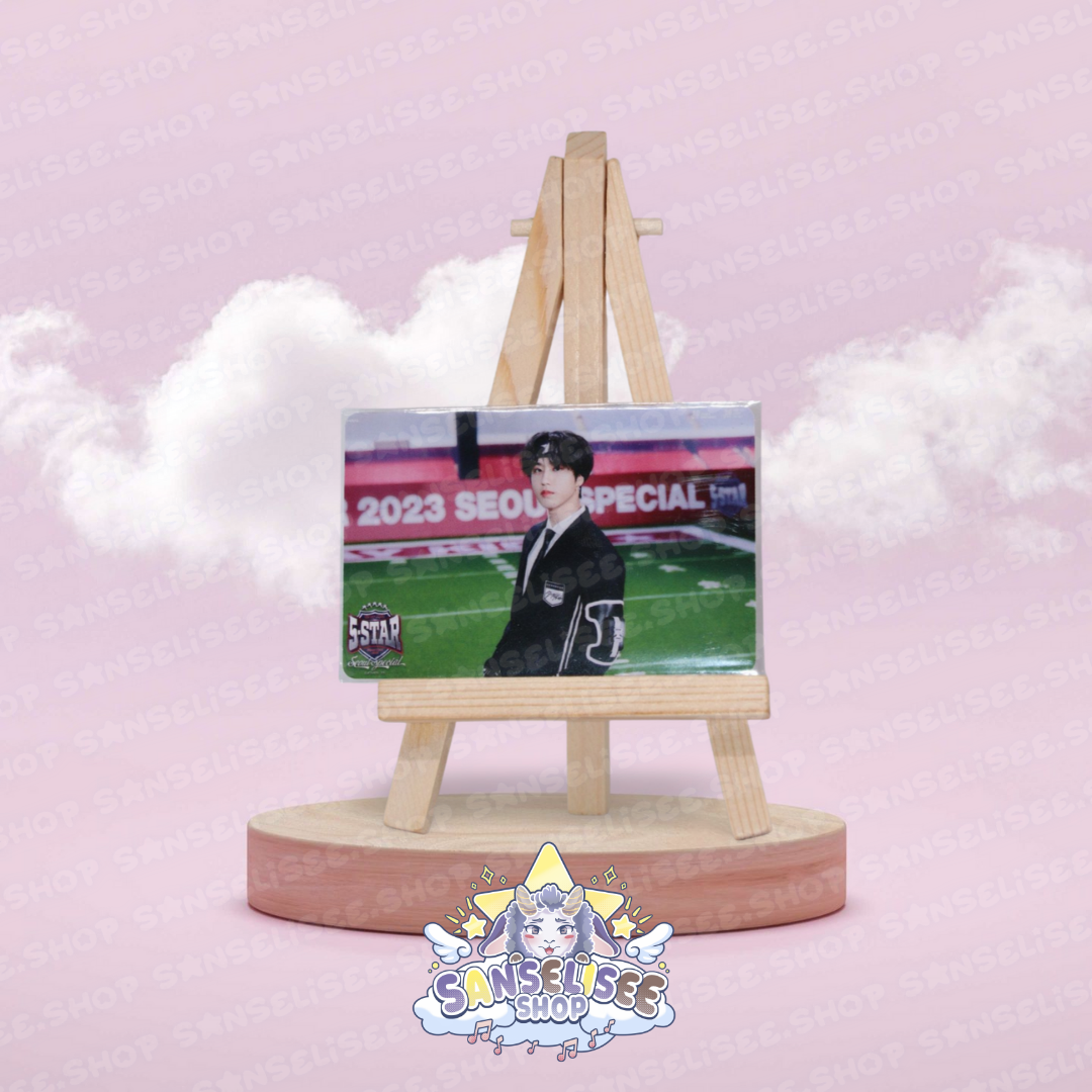 STRAY KIDS PHOTOCARDS  #29