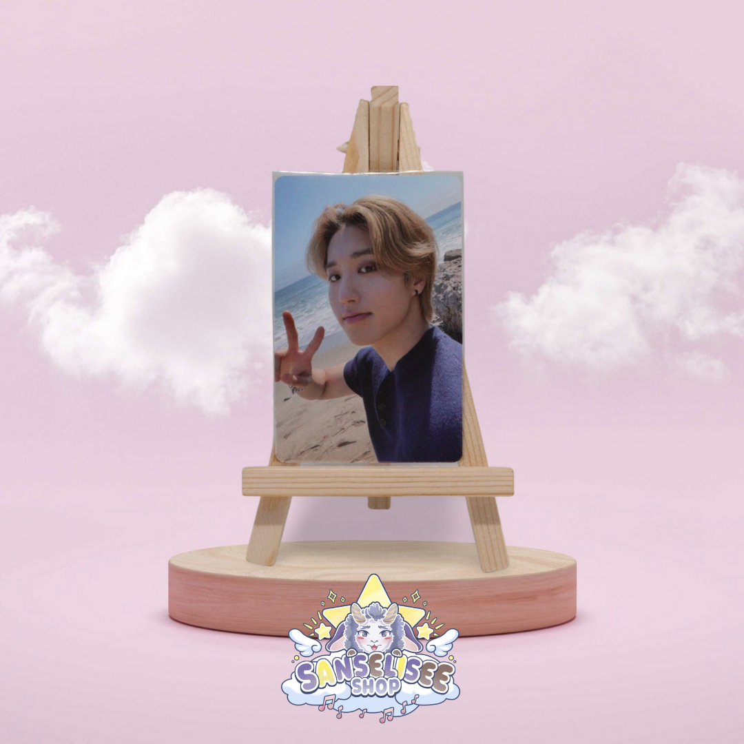 STRAY KIDS PHOTOCARDS  #28