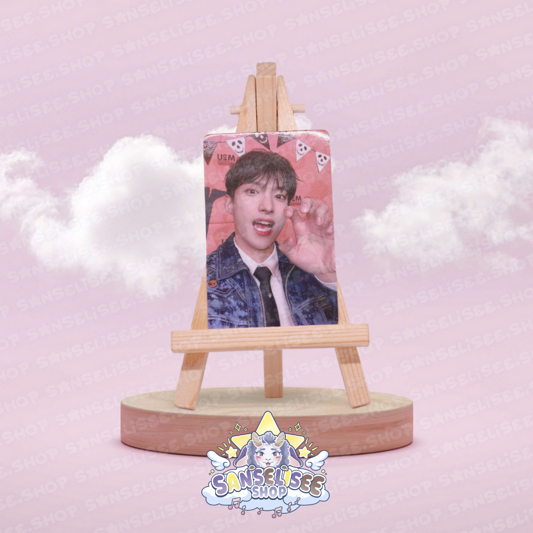 SEVENTEEN DK PHOTOCARDS  #01