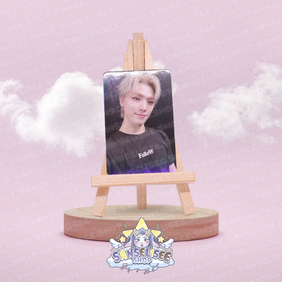 SEVENTEEN DINO PHOTOCARDS  #01