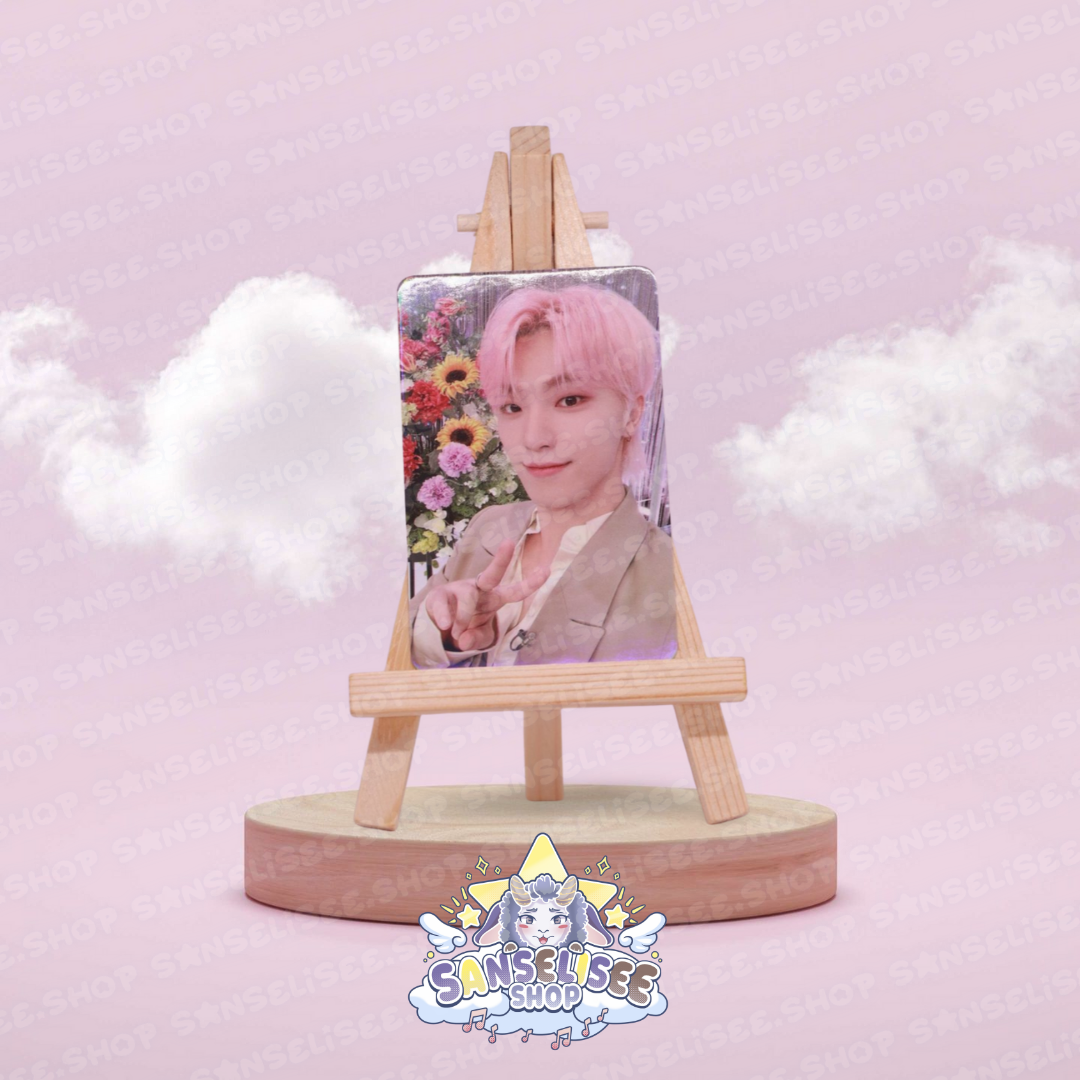 SEVENTEEN DINO PHOTOCARDS  #01