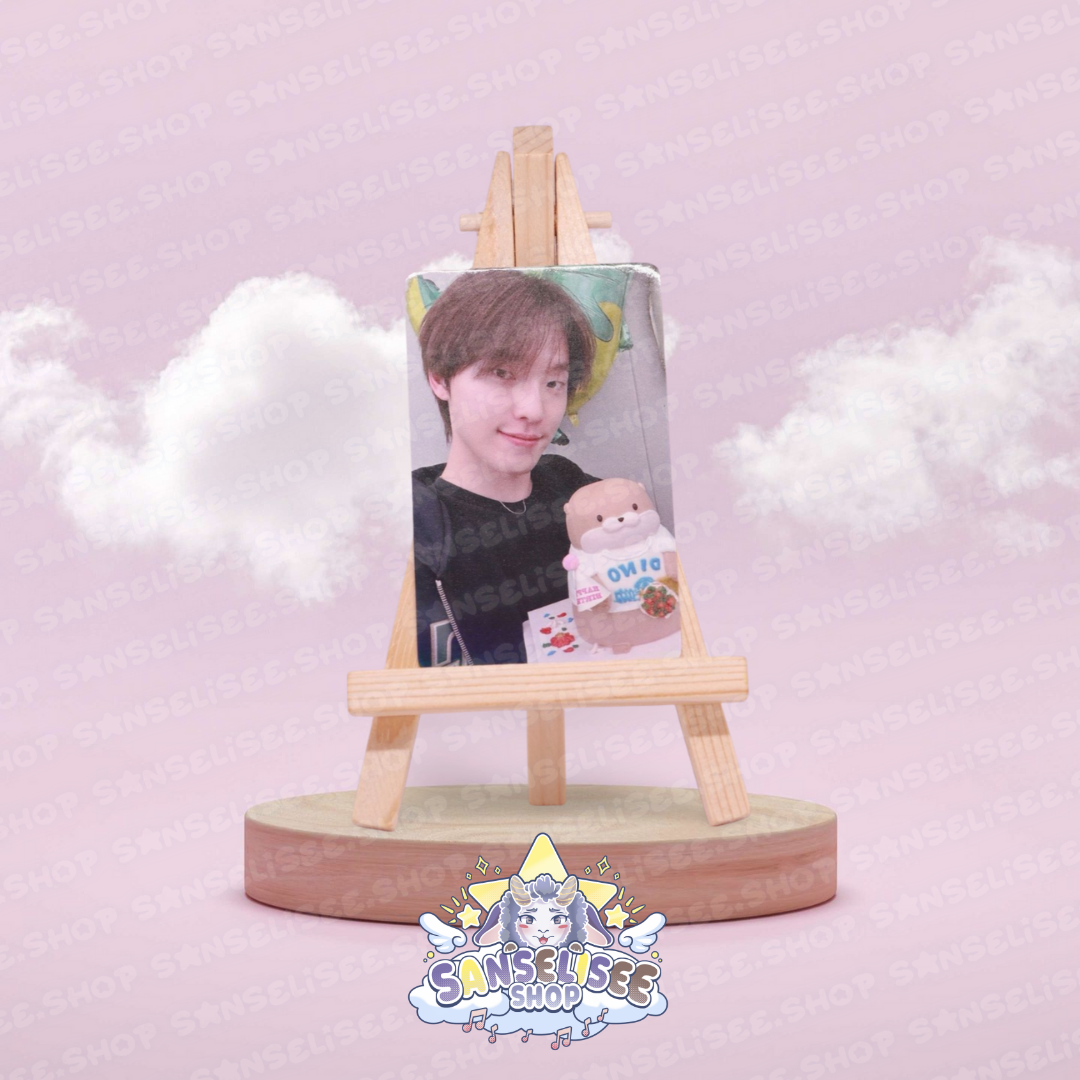 SEVENTEEN DINO PHOTOCARDS  #01