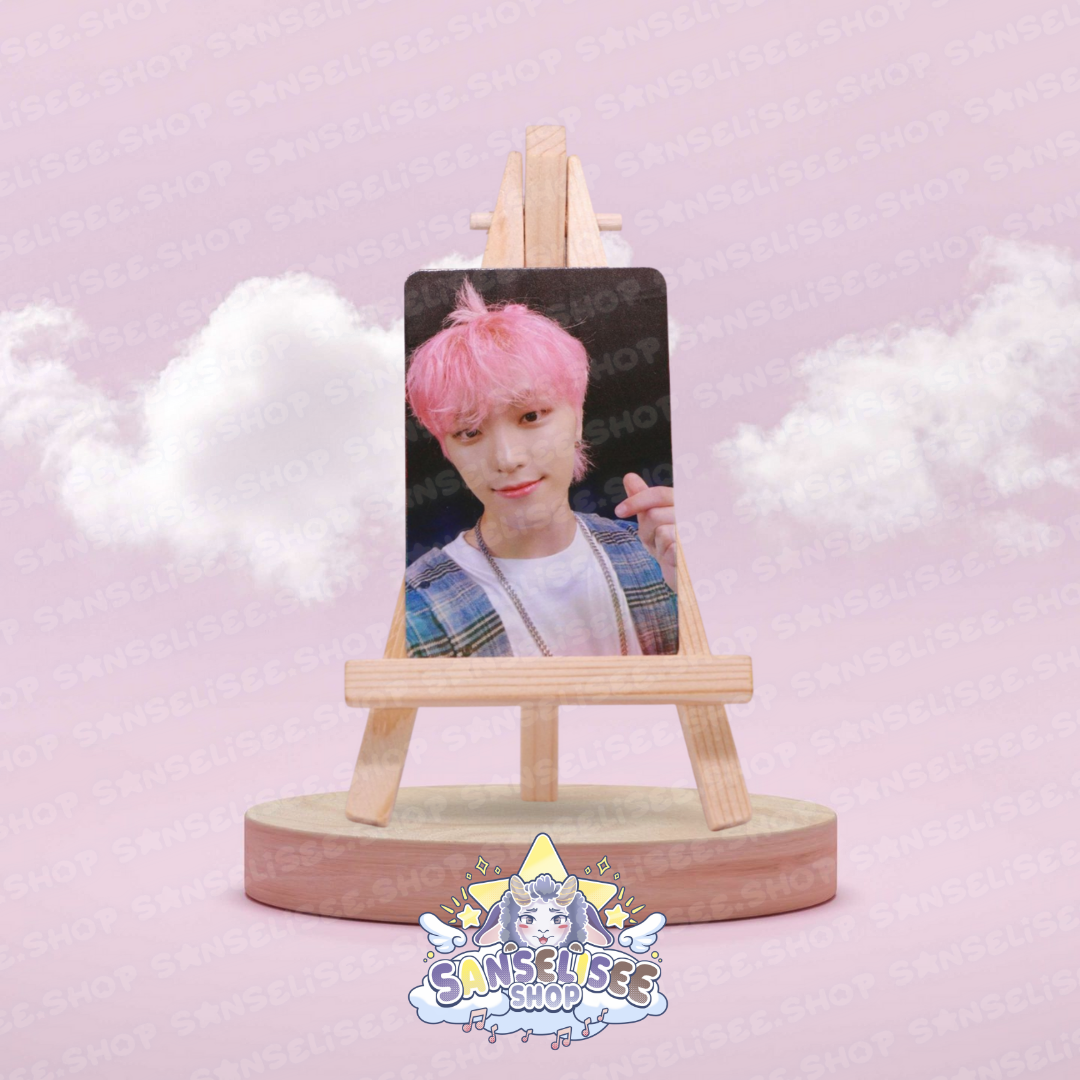 SEVENTEEN DINO PHOTOCARDS  #02