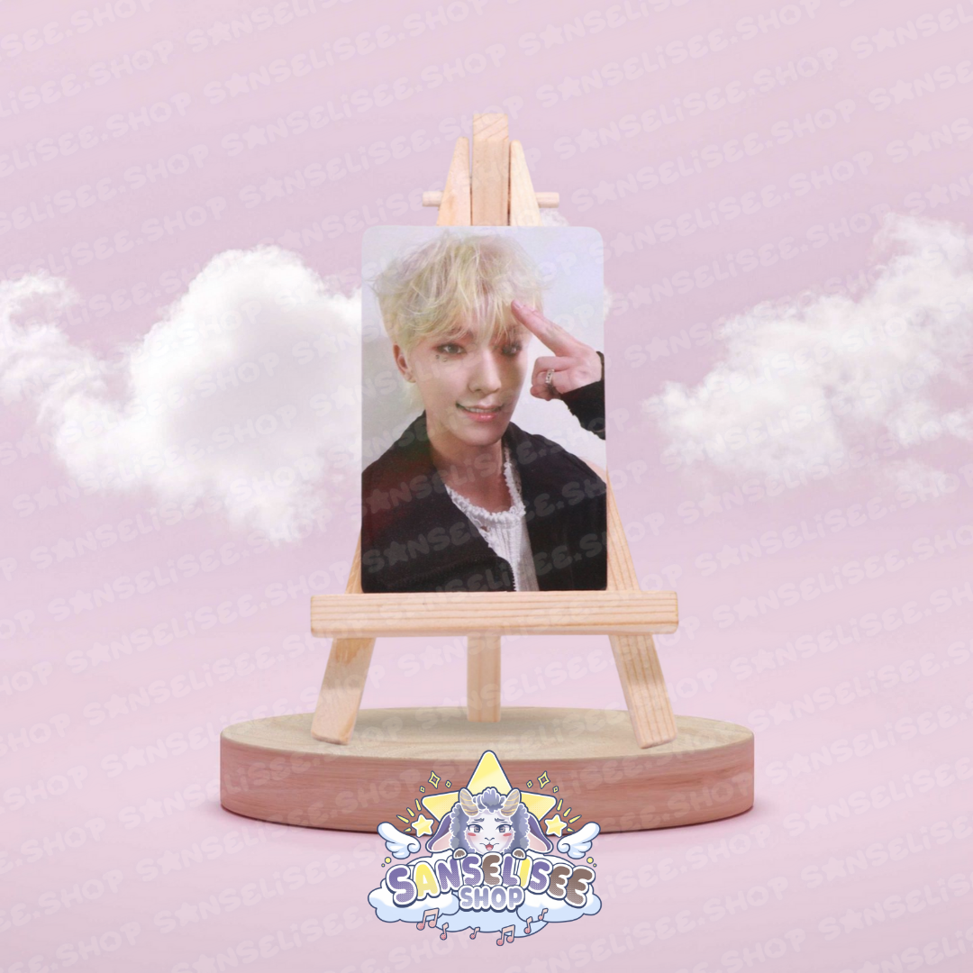 SEVENTEEN DINO PHOTOCARDS  #03