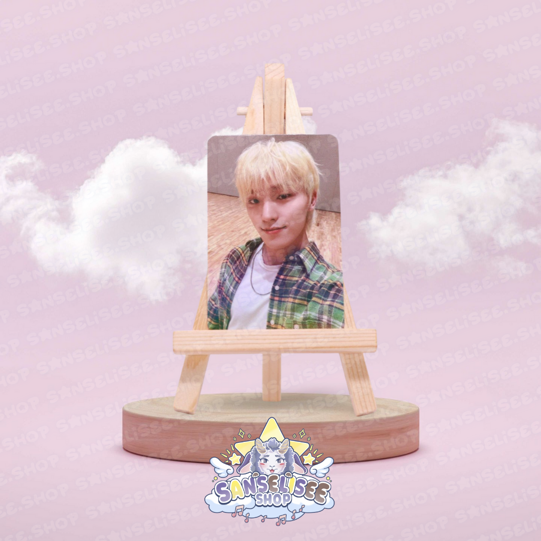 SEVENTEEN DINO PHOTOCARDS  #02