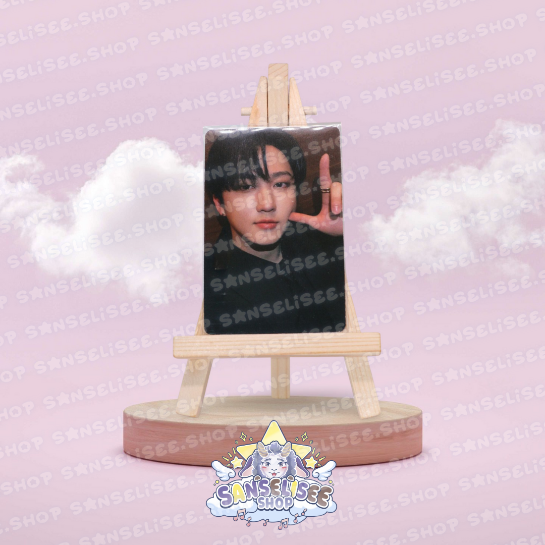 STRAY KIDS PHOTOCARDS  #15