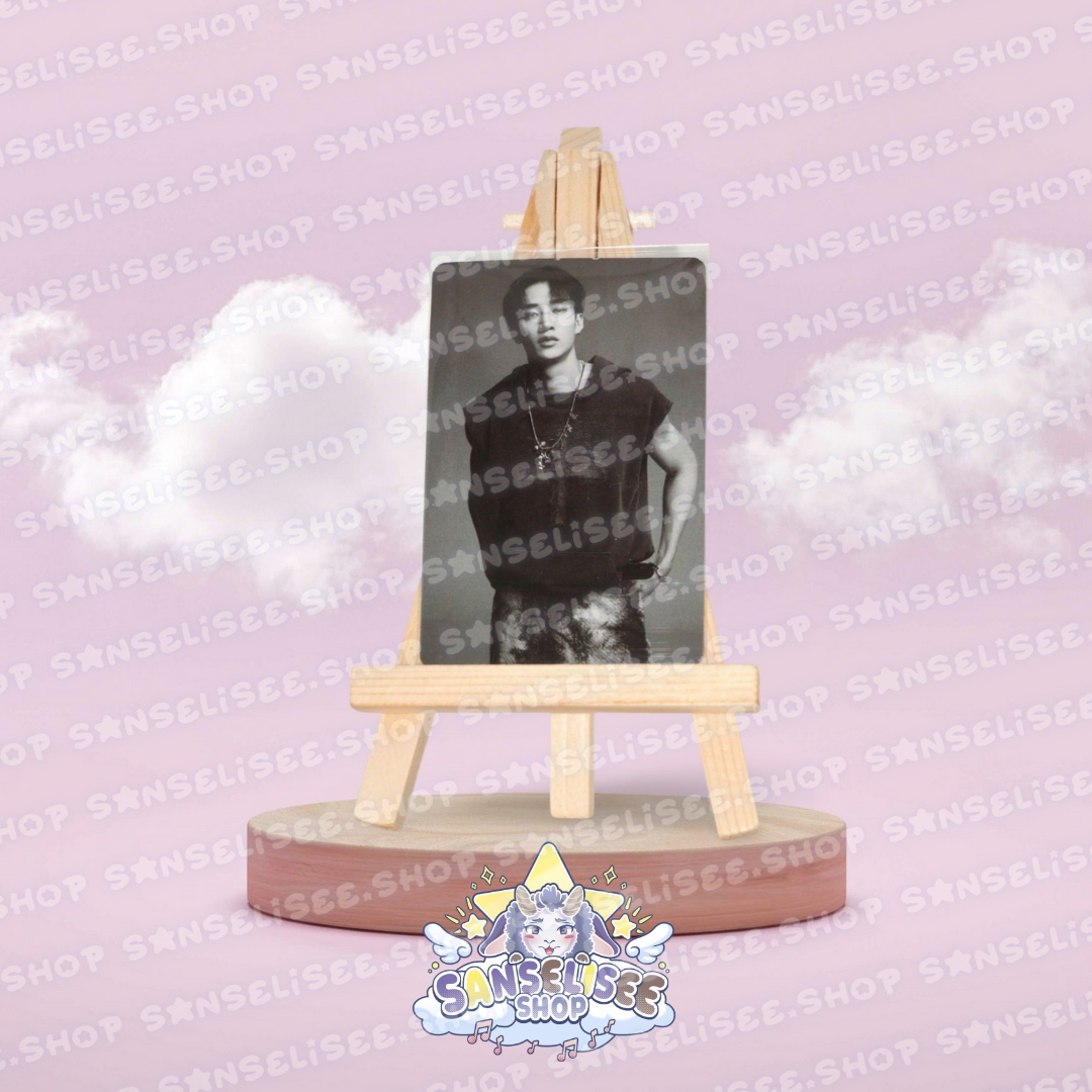 STRAY KIDS PHOTOCARDS  #11