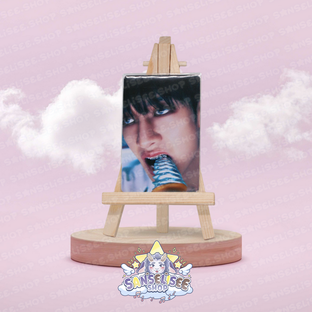 STRAY KIDS PHOTOCARDS  #30