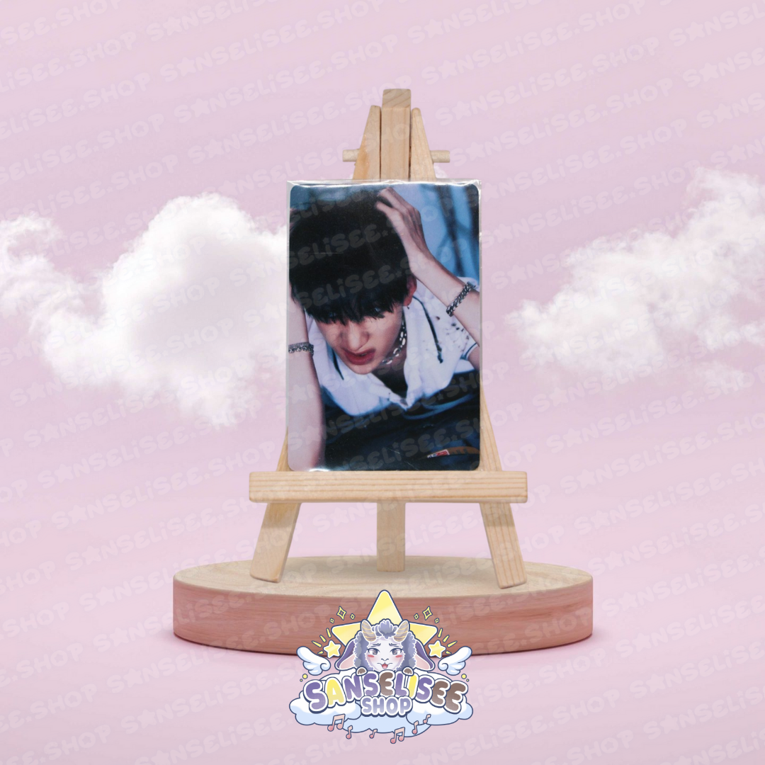 STRAY KIDS PHOTOCARDS  #31