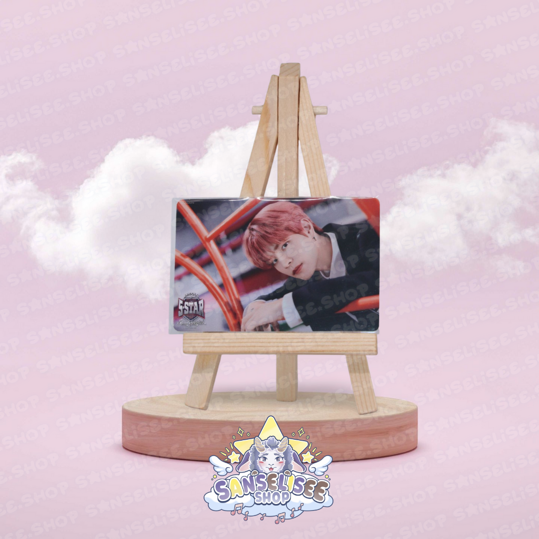 STRAY KIDS PHOTOCARDS  #29